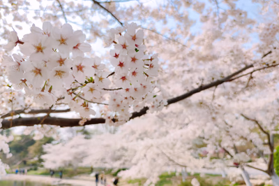 2020-03-29-18-13-59-707